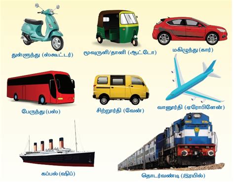 போக்குவரத்து - பருவம் 3 அலகு 3 | 1 ஆம் வகுப்பு சூழ்நிலையியல் ...