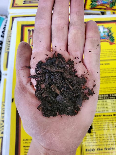 Fox Farms Happy Frog Soil Conditioner - Treeland Nurseries