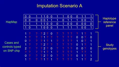 Image result for Impute Meaning in Python