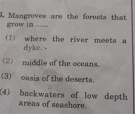 Answer the correct option - Brainly.in