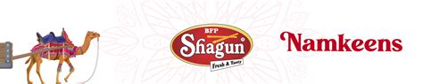 Amazon.in: BFP Shagun: NAMKEEN