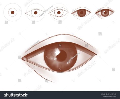 Image result for Drawing Human Eye Tutorial