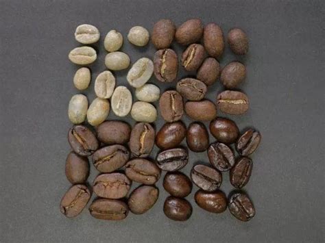 新手咖啡豆选购指南，如何买到新鲜且适合自己的咖啡豆 - 知乎