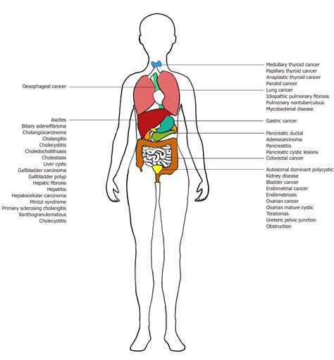 Carbohydrate antigen 19-9 — tumor marker: Past, present, and future