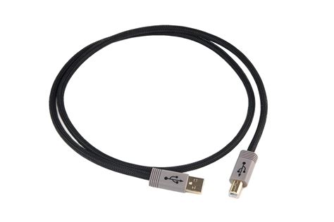 Schiit Schiit PYST 1M USB 2.0 Cable (A-Male to B-Male) : Amazon.in ...