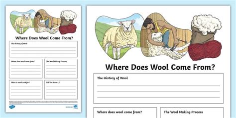 Where Does Wool Come From? Fact File Template (teacher made)