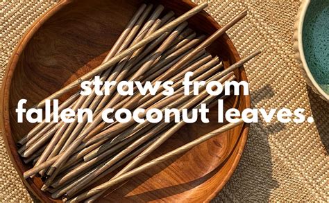 qudrat Natural Straw/Coconut Leaf Biodegradable, Eco-Friendly ...