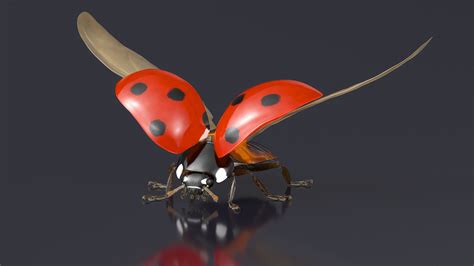 Ladybug With Wings Spread Fur Model - TurboSquid 2326285
