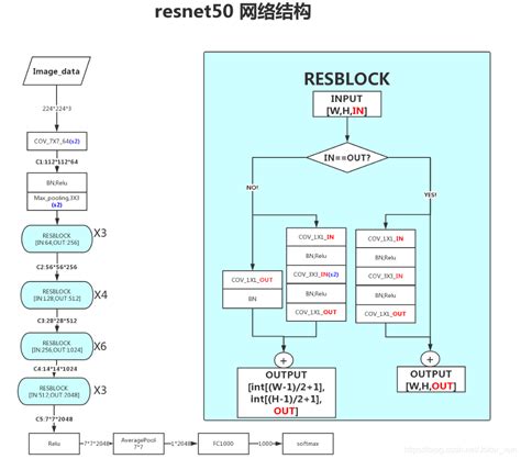 Resnet50网络结构_resnet50层-CSDN博客