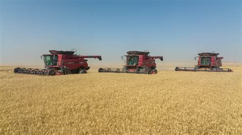 Egypt signs a $500 million financing agreement to purchase wheat from the Emirati "Al-Dhahra ...