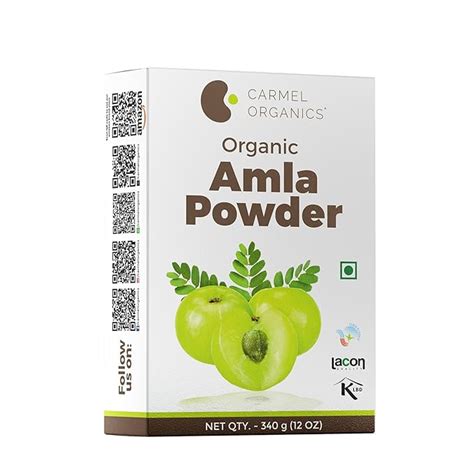 Buy CARMEL ORGANICS Amla Fruit Powder 340 Grams For Your Health and ...