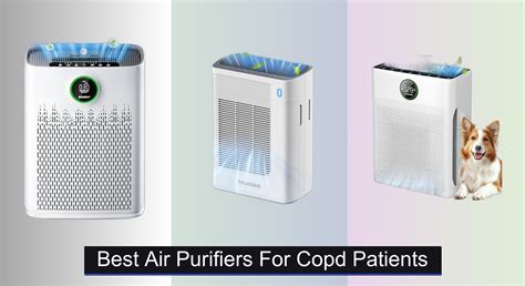 7 Best Humidifiers for Cough 2026