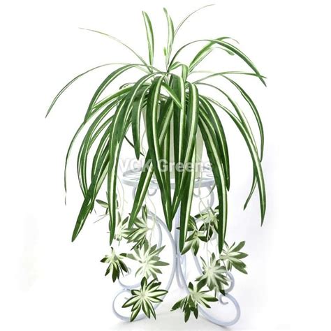 Artificial Spider Plant Creepers – VCK Greens