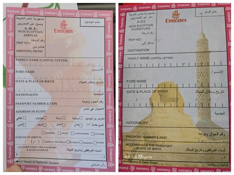 埃及入境卡样本，埃及入境卡如何填写？_「哈尔滨旅行社」-黑龙江省中旅国际旅行社有限公司