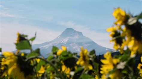 All the Best Stops on the Hood River Fruit Loop