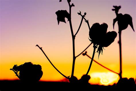 Environmental Assessment Makes 16 Recommendations for Australia's ...