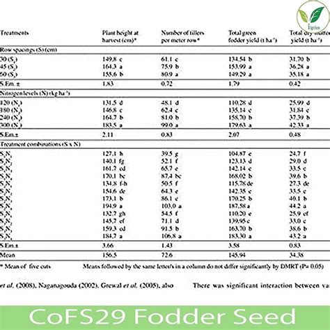Fodder Seeds - IAgrifarm Sorghum Sweet Sudan Grass (SSG) Multicut ...