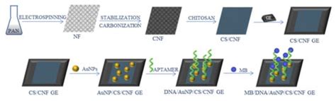 Electrospun Nanofibers for Sensing and Biosensing Applications—A Review
