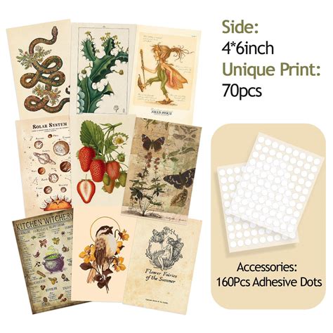 70Pcs Vintage Wall Collage Kit Aesthetic Pictures, Botanical ...