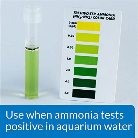 Api Ammo-Lock Freshwater And Saltwater Aquarium Ammonia Detoxifier 4 ...