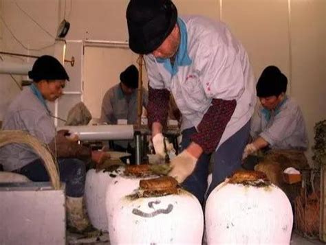 醉美黄酒|绍兴黄酒的酿造技艺-江南大学传统酿造食品研究中心