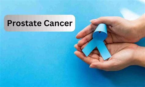 PET/MRI accurately classifies prostate cancer patients, offers ...