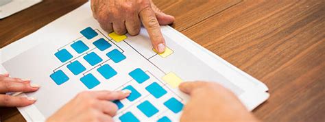 Organization Phase Chart 的图像结果