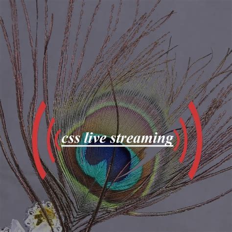 Image result for CSS Live Streaming