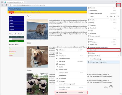 Storage Developer Tools Edge 的图像结果
