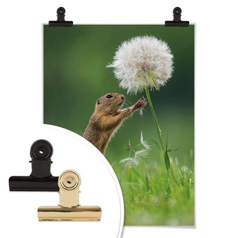 Poster Dick van Duijn - Squirrel with dandelion | wall-art.com