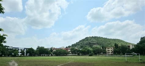 Babasaheb Naik College of Engineering, Pusad