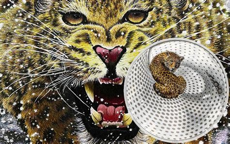 Powercoin's Camouflage of Nature moves from prey to predator with a leopard in hiding coin ...