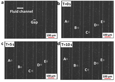 Development of a High Flow Rate 3-D Electroosmotic Flow Pump