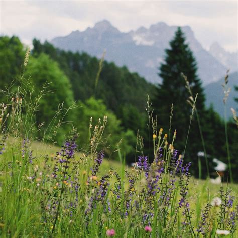 Summer Solstice in the Italian Alps! Women Only- yoga, connection ...