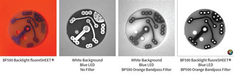 Image result for Fluoro Backsheet