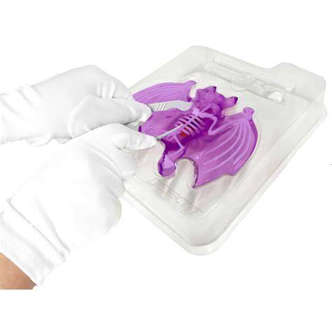 Image result for Dissect