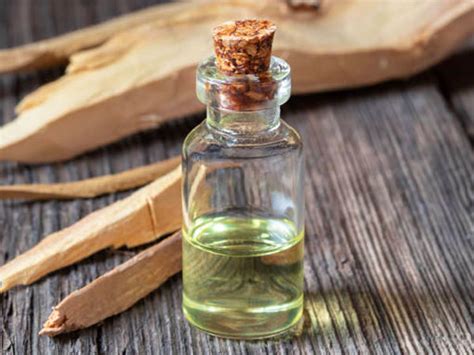 जाणून घ्या टूथपेस्ट अन् टूथ पावडर तयार करण्याची साधी सोपी पद्धत | How ...