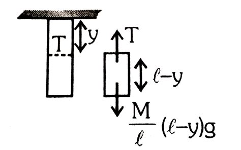 A uniform rope of mass M and length L is fixed at its upper end ...