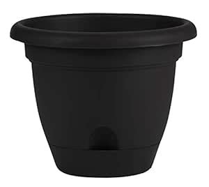 Bloem LP1000 Lucca Self Watering Planter, 10-Inch, Black : Amazon.in ...