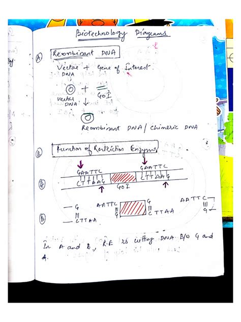 Basic Biotechnology 的图像结果