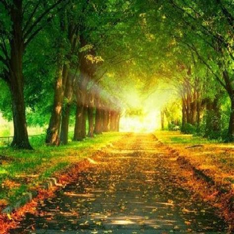 Image result for Background Images for JavaScript