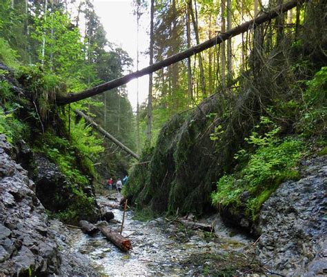 REKREACNE ZARIADENIE ZLATA IDKA - Specialty Hotel Reviews & Photos ...