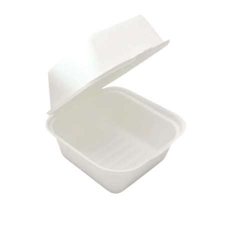 Burger Bagasse Takeaway Box (Eco-Friendly, Sustainable, Biodegradable ...
