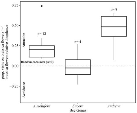Plants | Special Issue : Plant Viruses, Viroids and Phytoplasmas ...