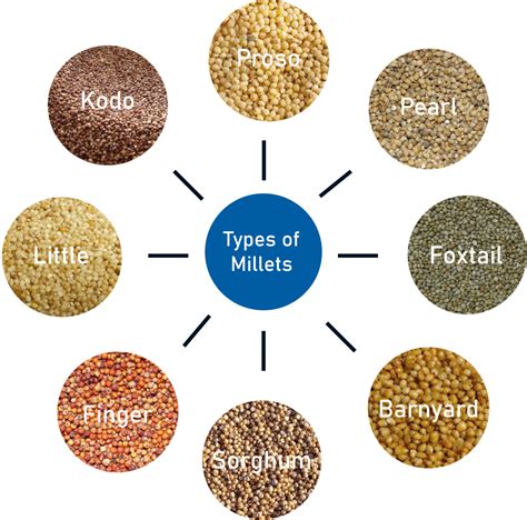 small millet in hindi Millets millet grains glossary ragi barnyard ...