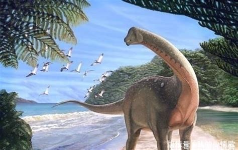 恐龙生活了1.6亿年，真的灭绝了吗？_恐龙趣闻_自贡恐龙，有趣的恐龙，恐龙展，恐龙公园，恐龙大百科_自贡电动仿真恐龙仿生动物制作厂家|源中圆科技