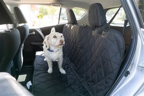 The 9 Best Back Seat Covers For Dogs - Reviews by Your Best Digs
