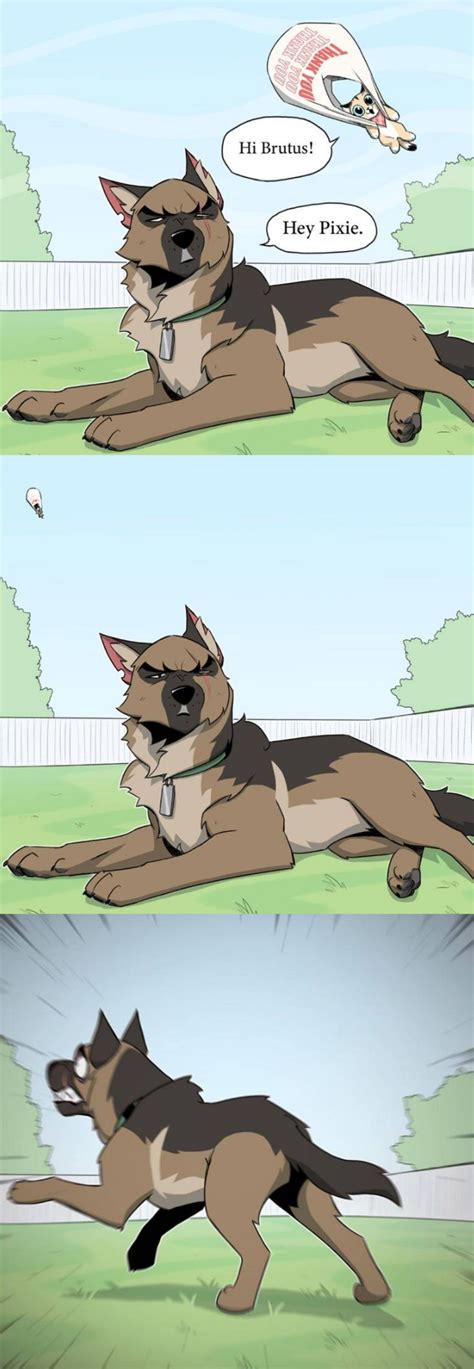 Image result for Delayed Reaction