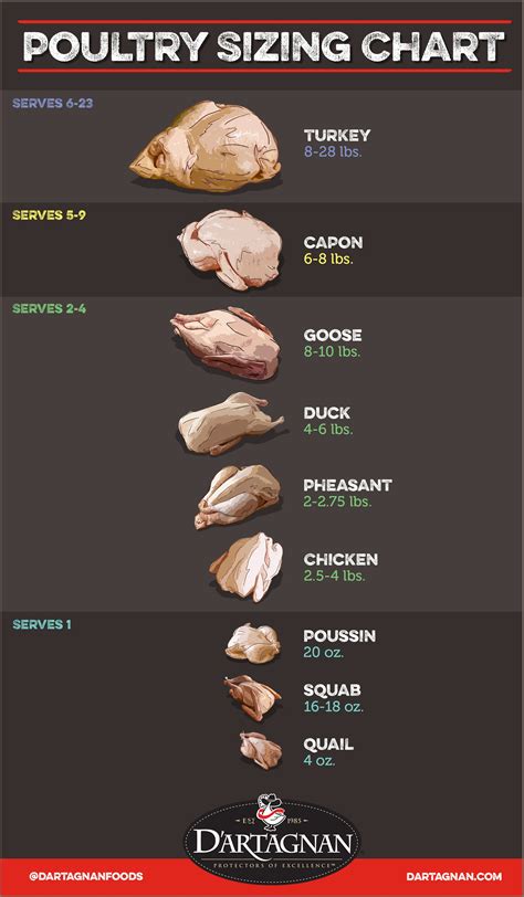 Poultry Sizing Chart | Food to make, Homemade dinner, Thanksgiving recipes