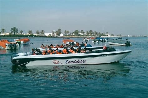 (2026 Tickets) Ballestas Islands Boat Tour in Paracas - with Reviews
